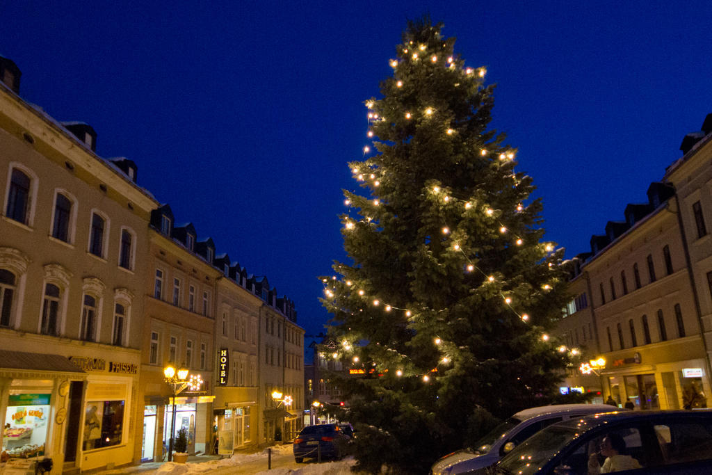 Hotel Garni Am Klostermarkt Plauen Eksteriør bilde